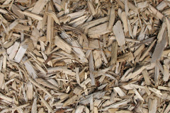 biomass boilers Willoughby Hills